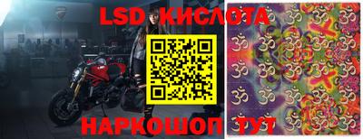 прущие крисы Будённовск