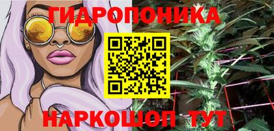 прущие крисы Будённовск