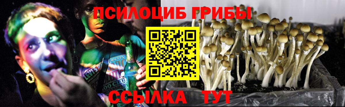 Псилоцибиновые грибы прущие грибы Фролово